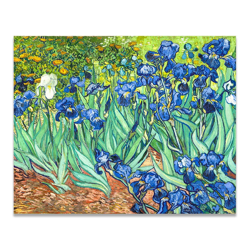 Irises by Van Gogh – Canvas Giclée Print - Pigment Pool